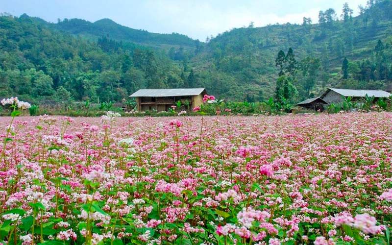 Làng văn hóa du lịch Lũng Cẩm