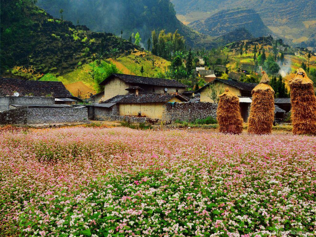 Làng văn hóa du lịch Lũng Cẩm