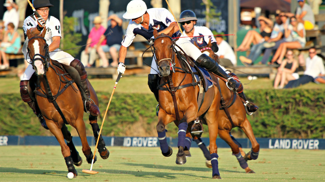 Polo thú chơi quý tộc của giới thượng lưu