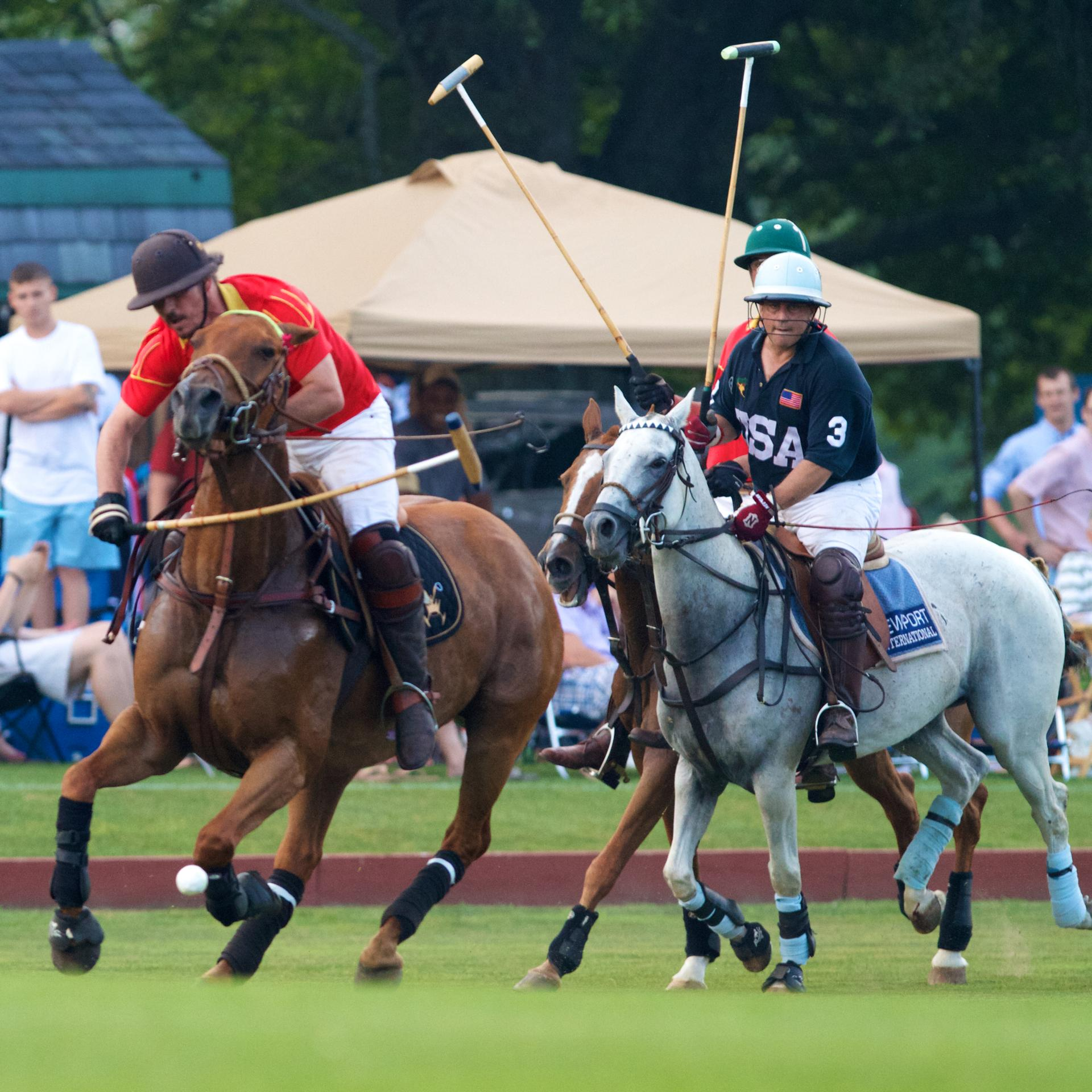 Polo thú chơi quý tộc của giới thượng lưu
