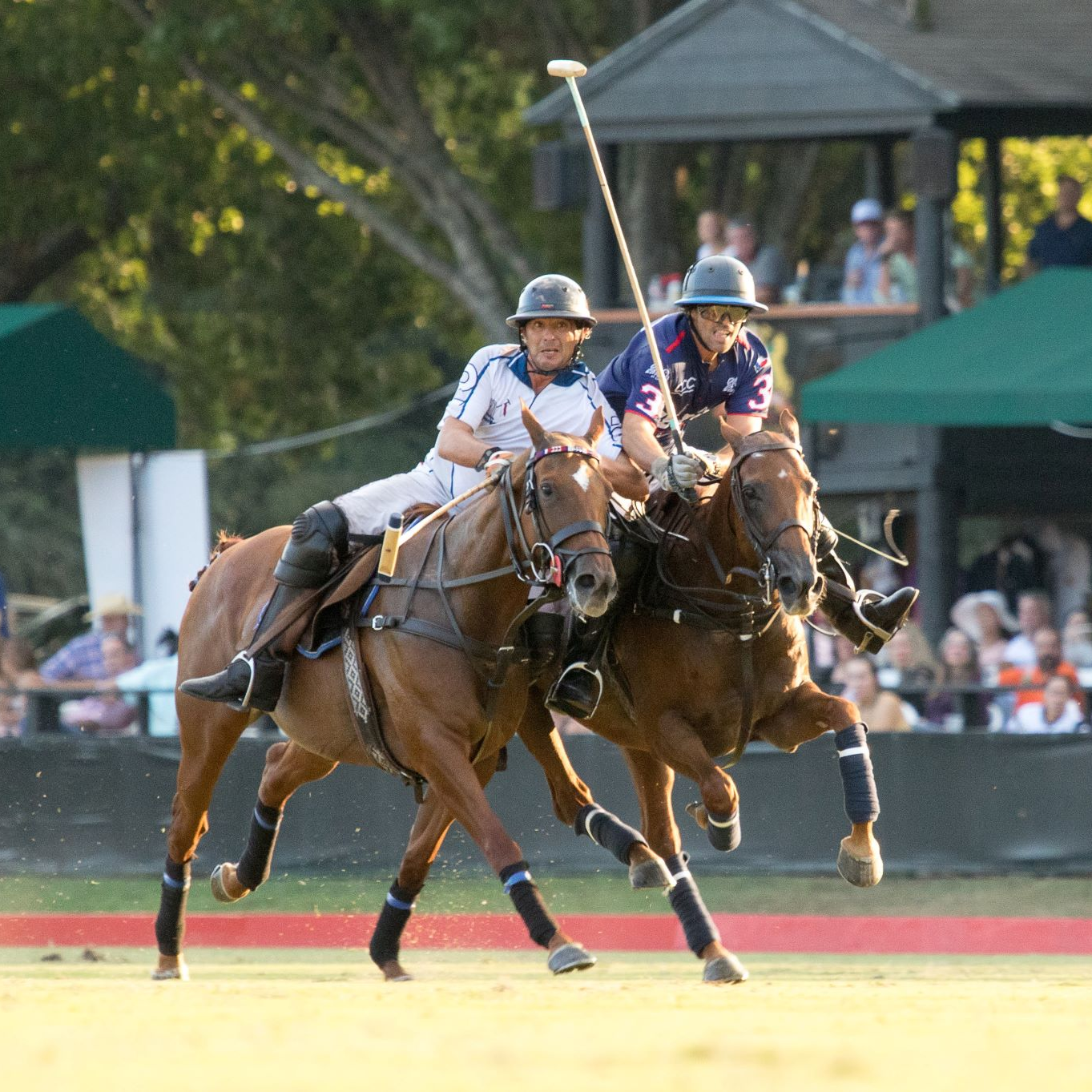 Polo thú chơi quý tộc của giới thượng lưu