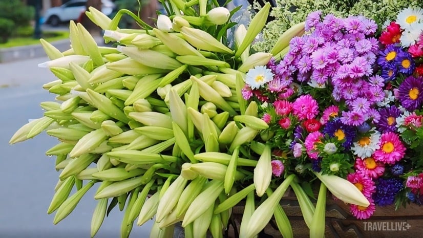 Hoa loa kèn - Món quà tháng Tư của Hà Nội