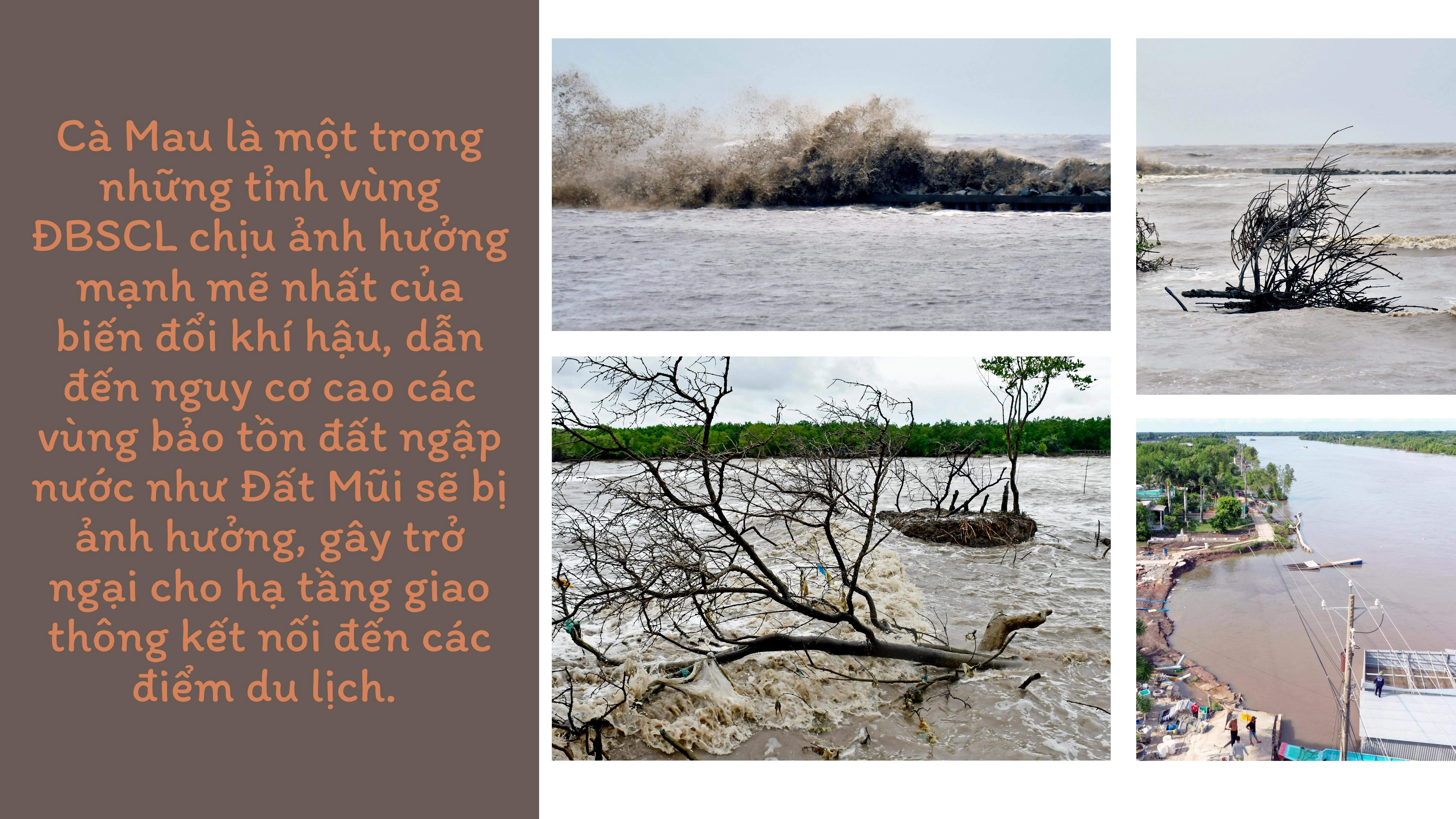 Du lịch cộng đồng Cà Mau