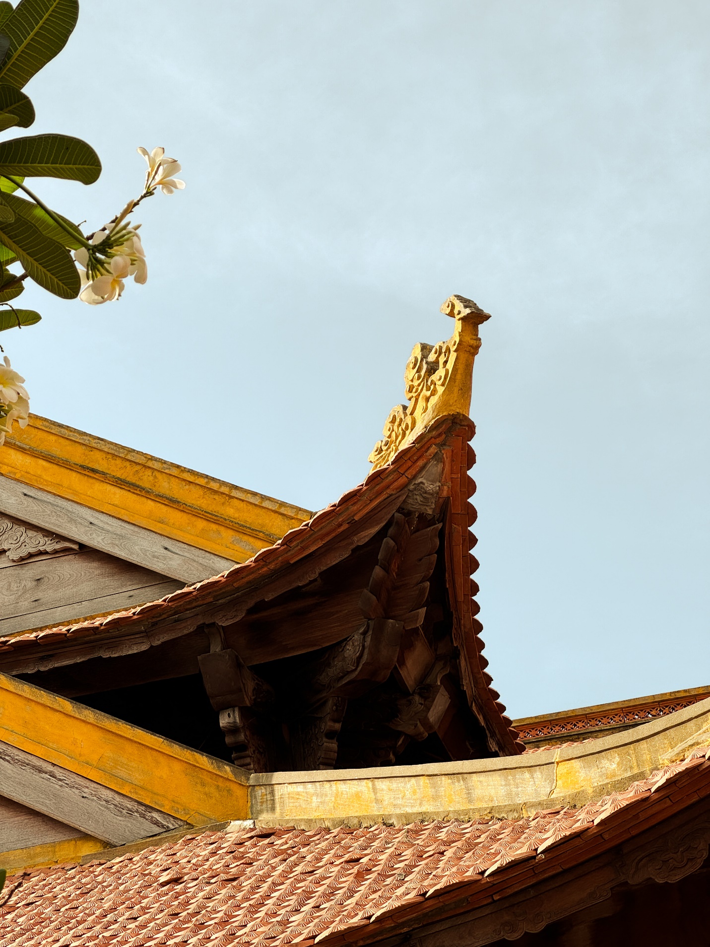 Du lịch Côn Đảo 