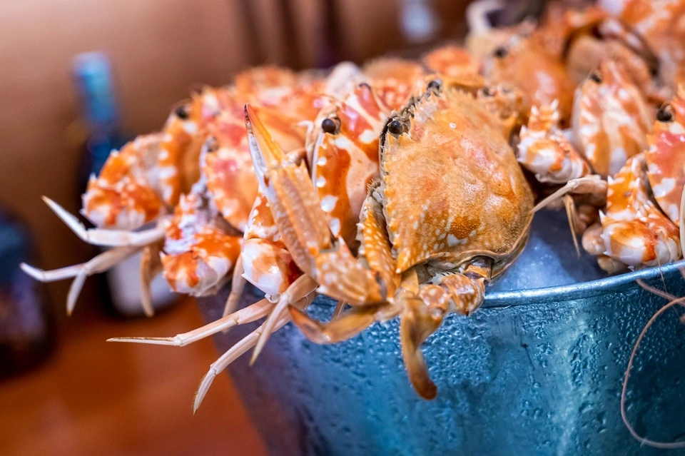 Lễ hội ẩm thực “Eat out” 90 ngày với ưu đãi từ Marriott Bonvoy Việt Nam