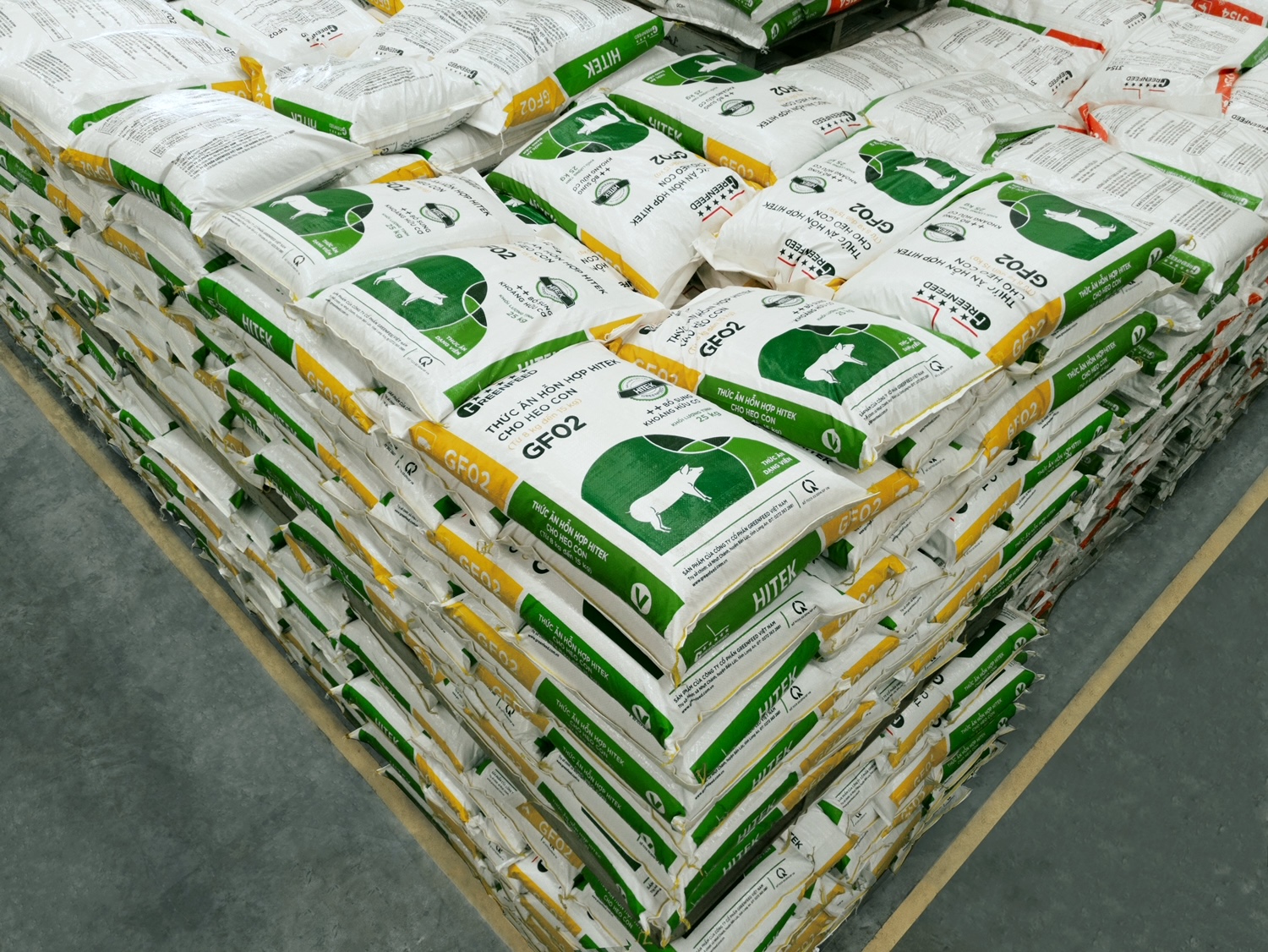 GREENFEED VIỆT NAM tăng trưởng lợi nhuận bền vững