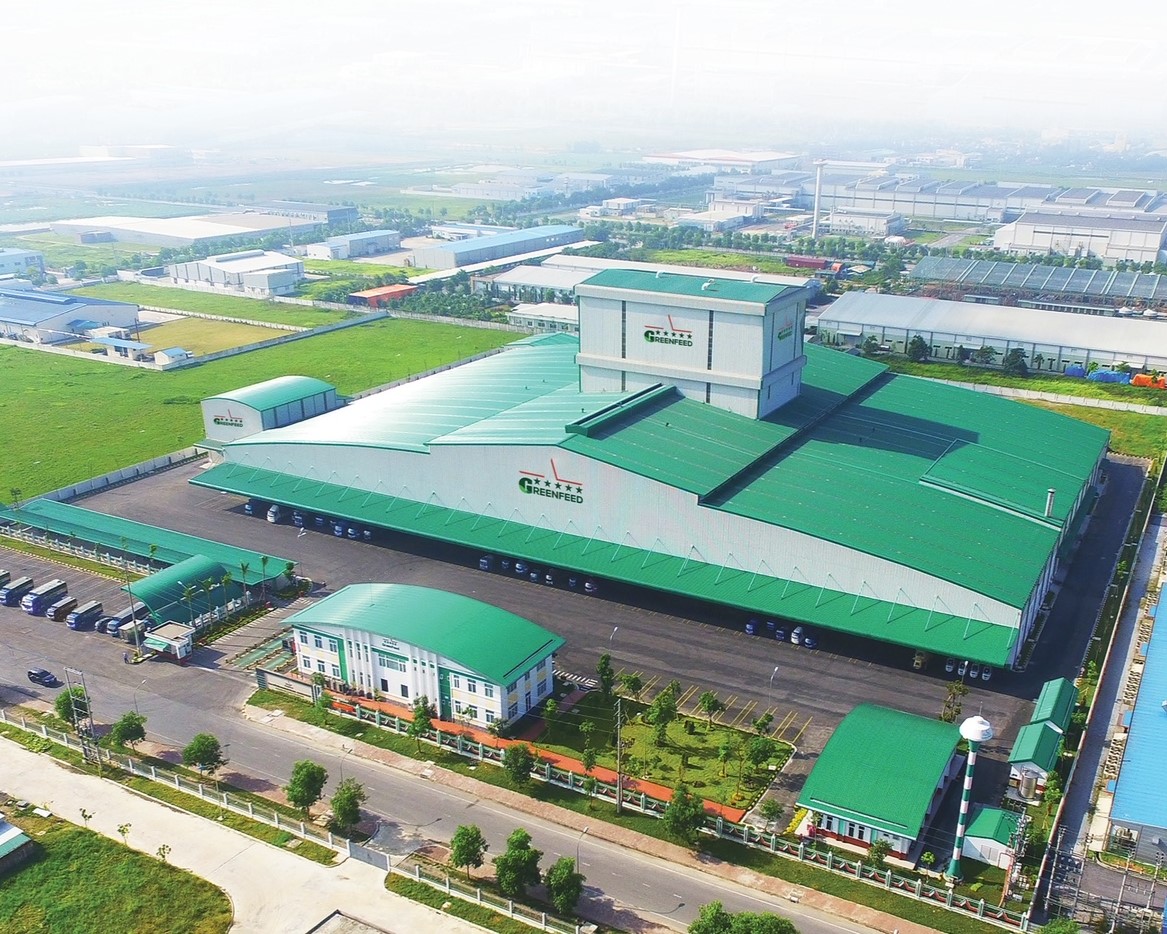 GREENFEED VIỆT NAM tăng trưởng lợi nhuận bền vững