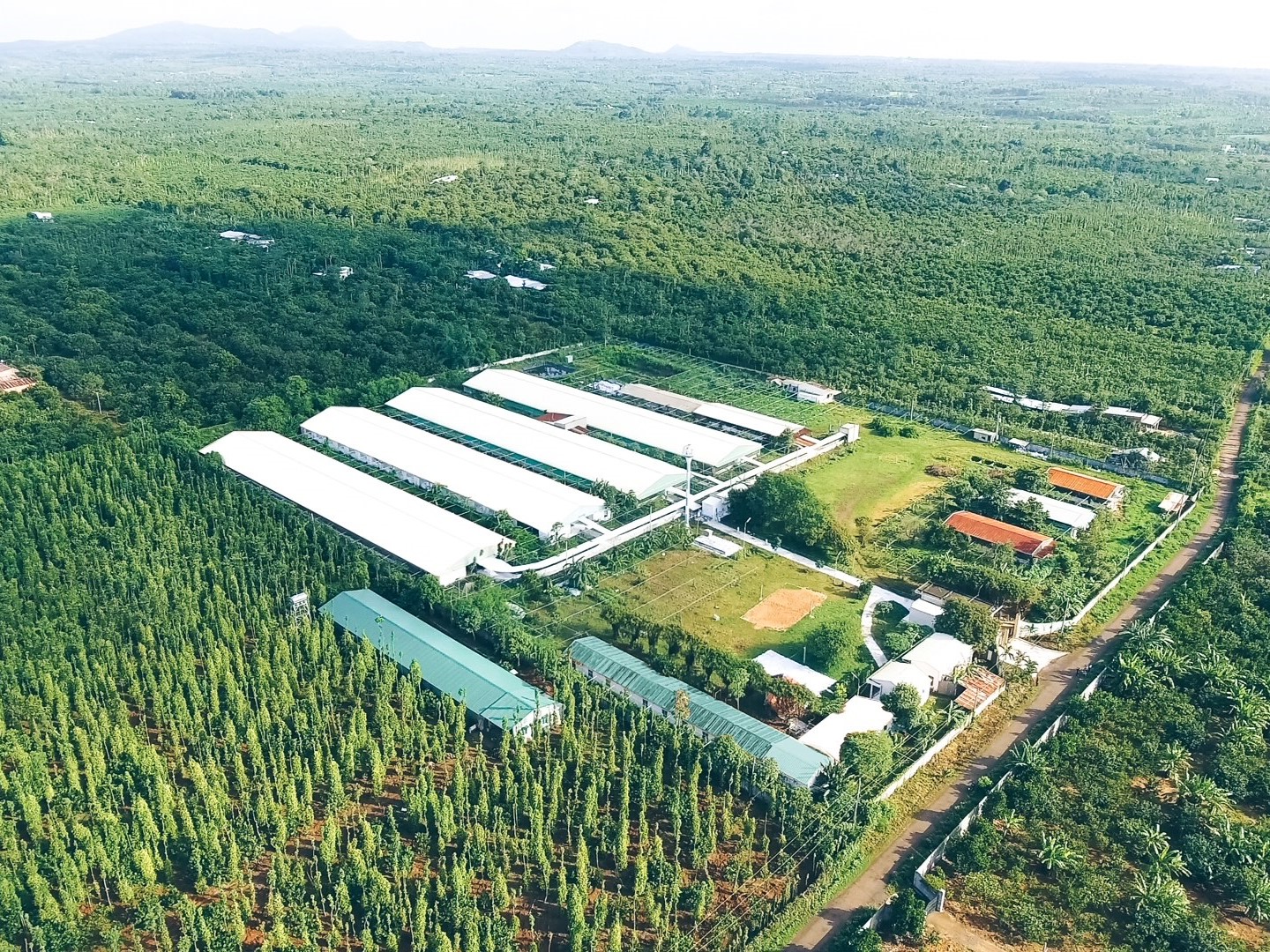 GREENFEED VIỆT NAM tăng trưởng lợi nhuận bền vững