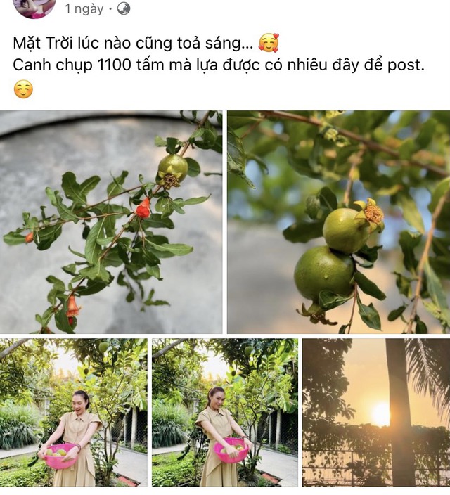 Mỹ Tâm và Mai Tài Phến