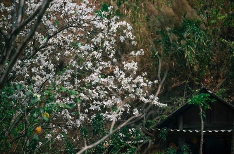 Du lich miền bắc