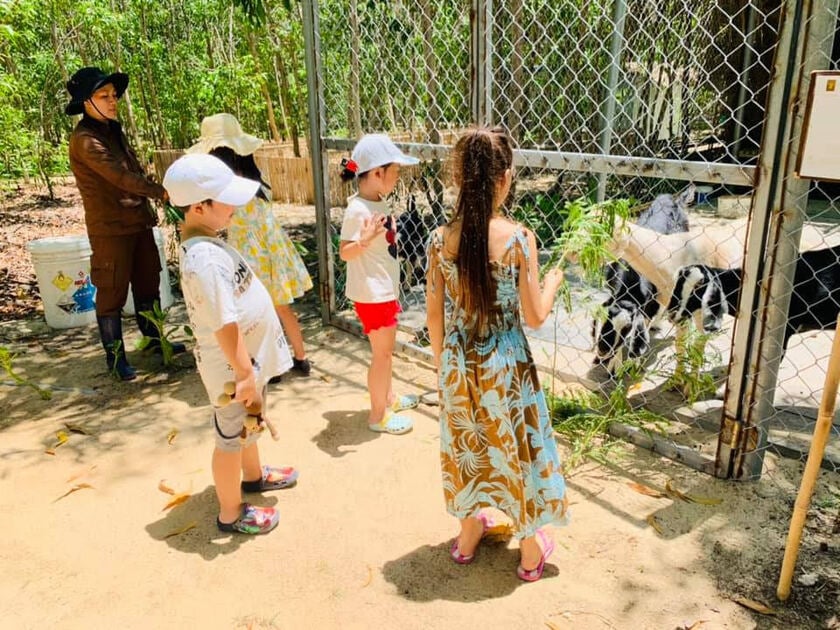 Du lịch xanh tại Việt Nam