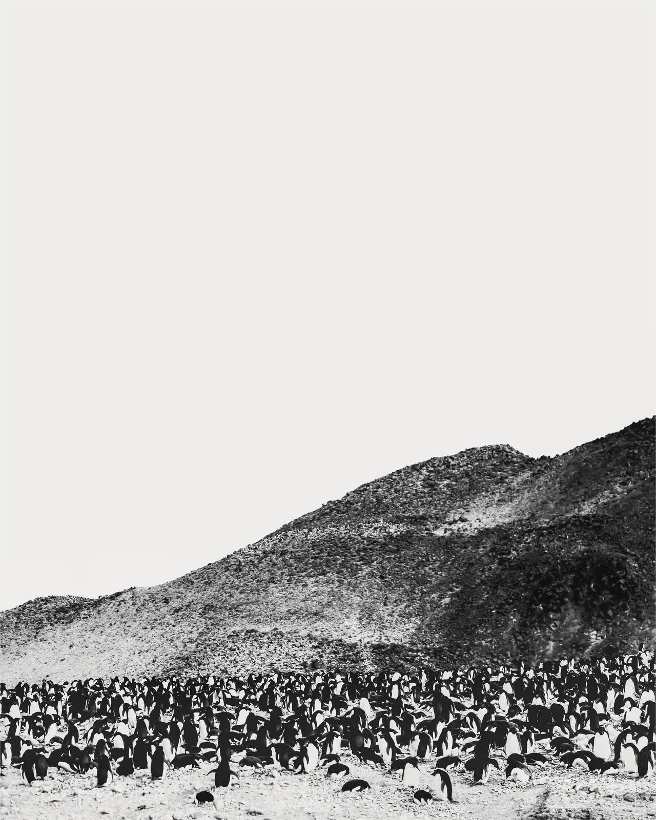 Du lịch mạo hiểm