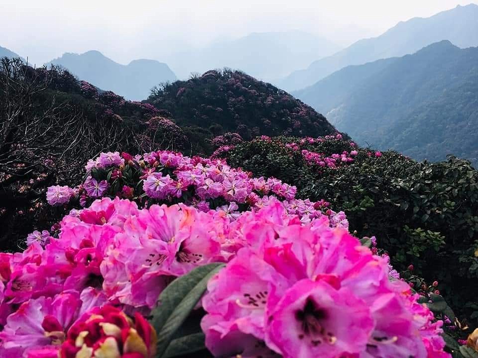 Pu ta leng ở tỉnh nào