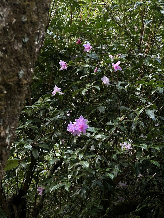 Chinh phục Ky Quan San