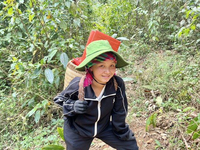 Chinh phục Ky Quan San