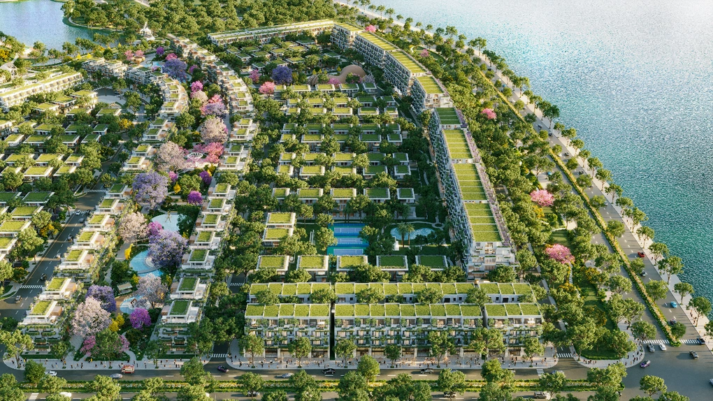 Savills Private Office: Dịch vụ tư vấn bất động sản cho giới siêu giàu tại Việt Nam