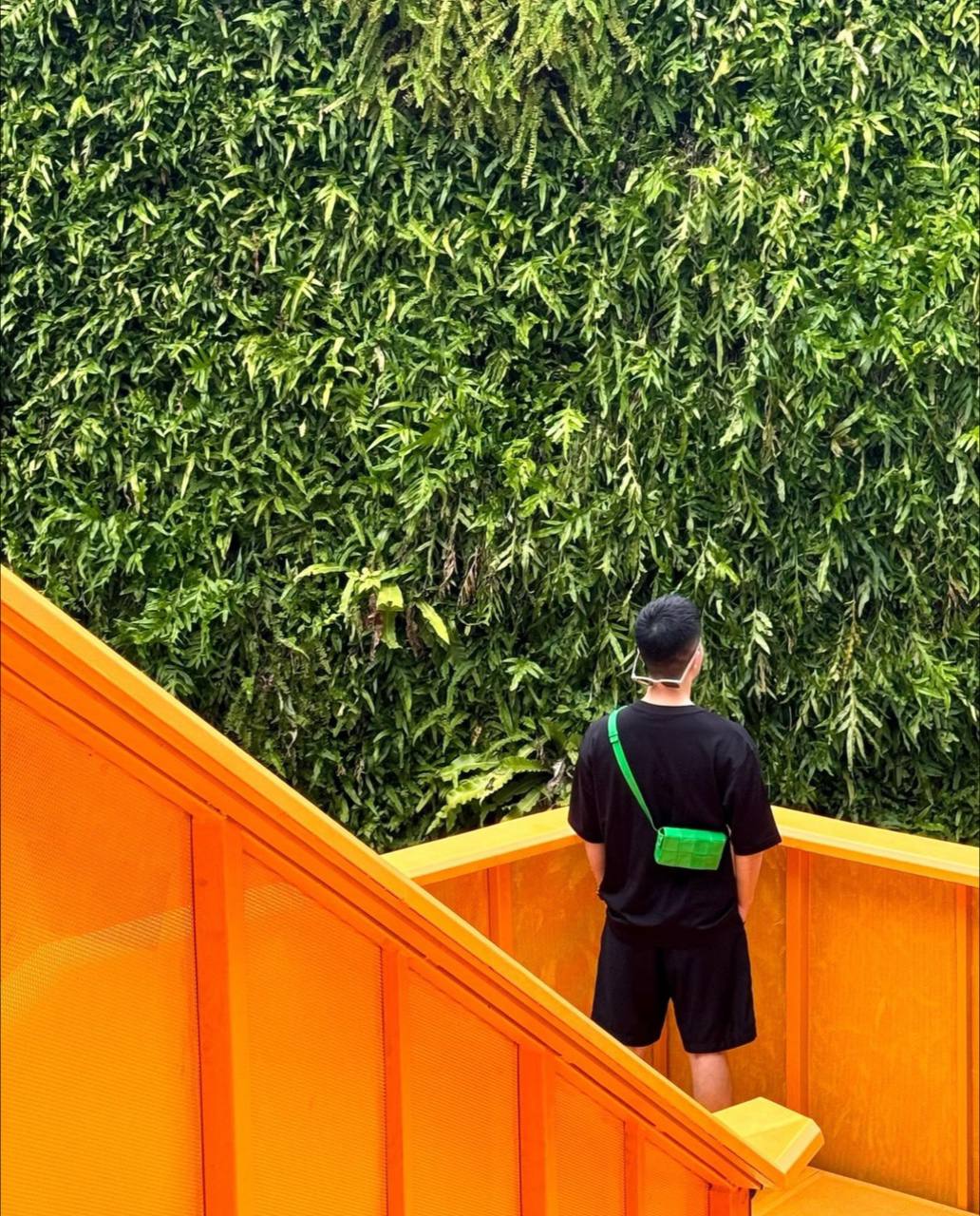 Lễ hội Thái Lan