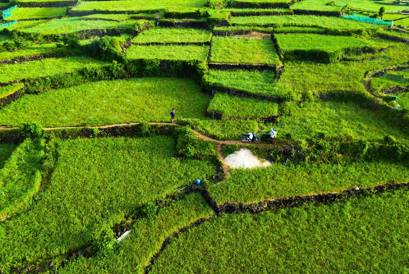 Du lịch Lý Sơn