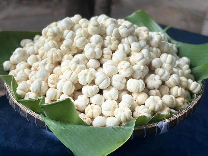 Gỏi gà măng cụt