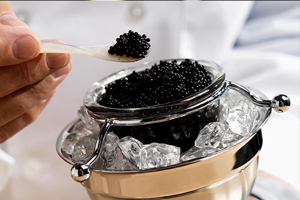 Top các món ăn đắt nhất thế giới siêu xa xỉ sang chảnh cho hội nhà giàu