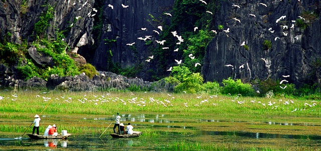 Du lịch Ninh Bình 