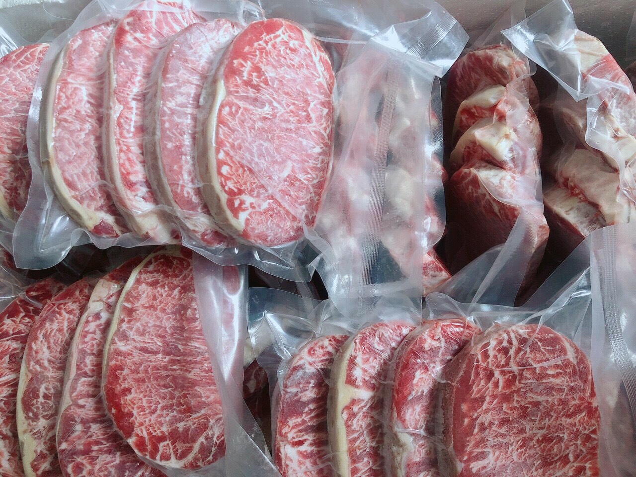 Bò Wagyu