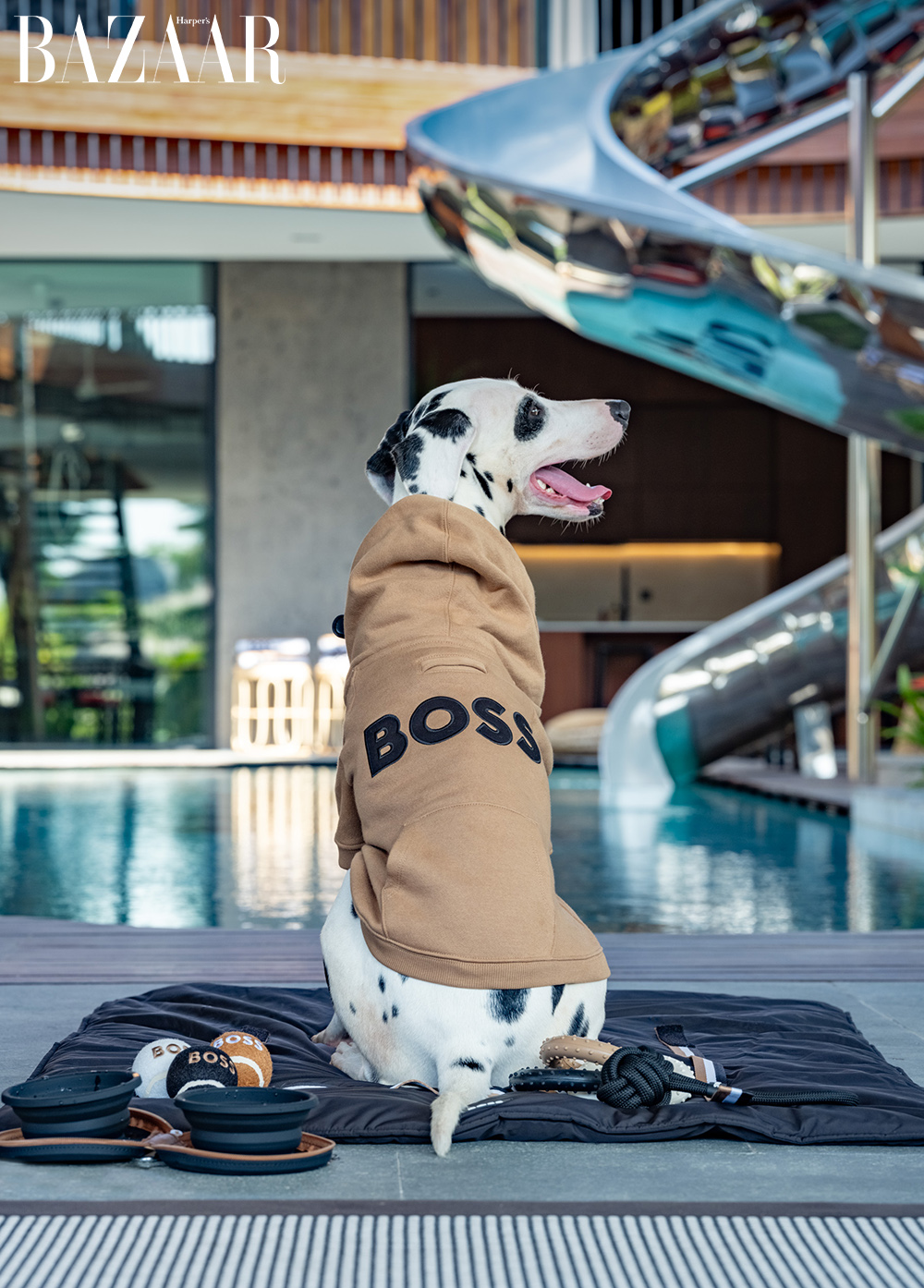 Boss Xuân Hè 2024 Bali