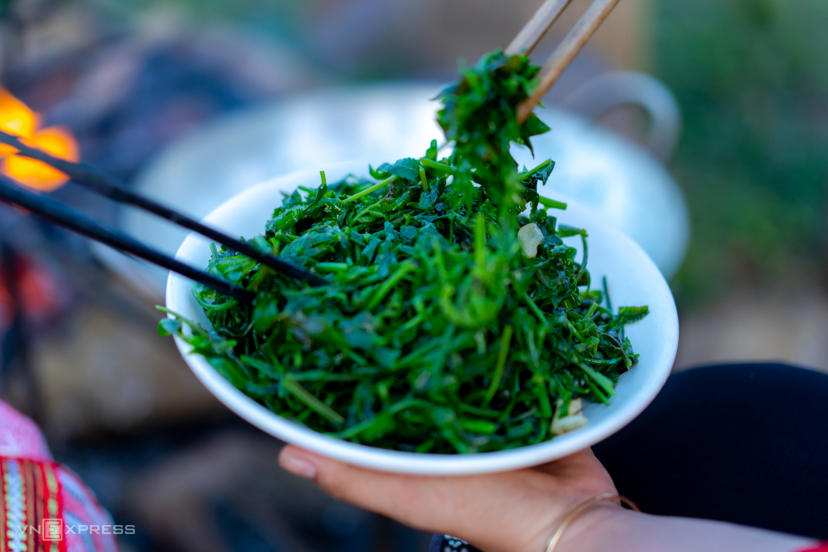 Du lịch Bình Định