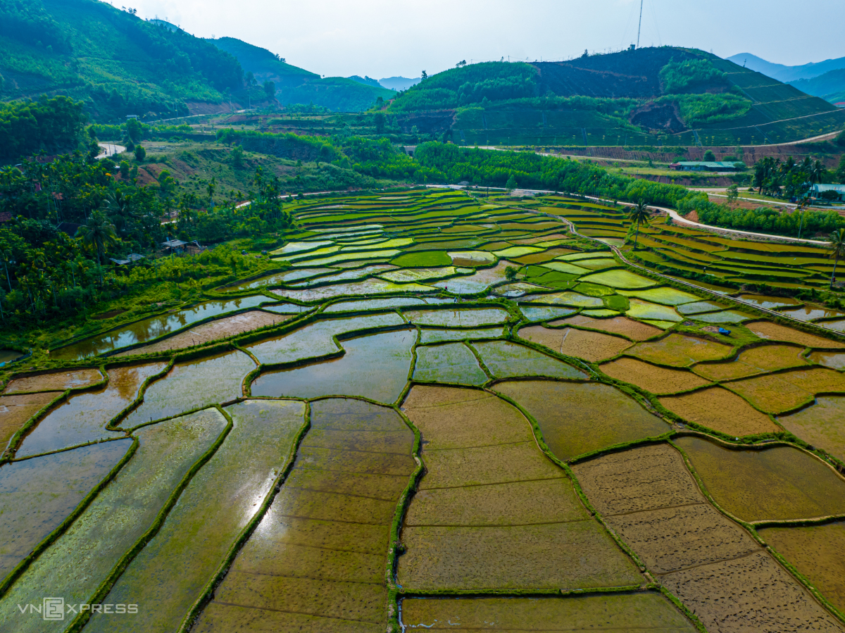 Du lịch Bình Định