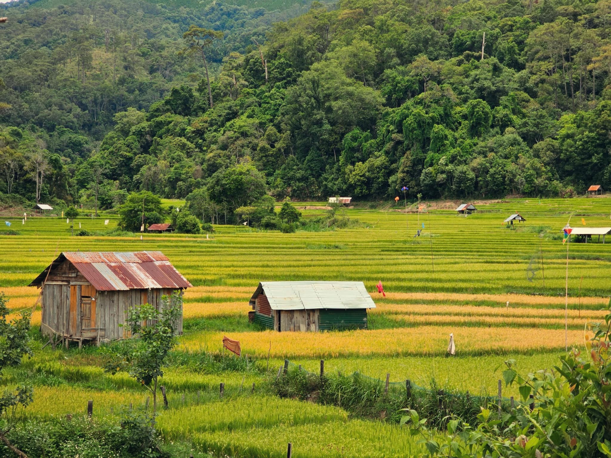 Du lịch Tây Nguyên