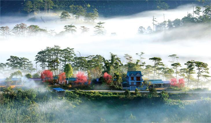 Du lịch Lâm Đồng