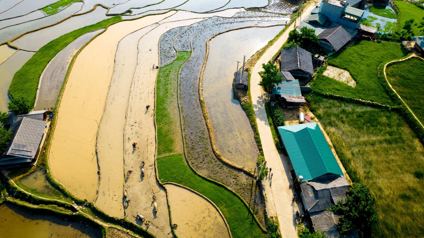 Mù Cang Chải mùa nào đẹp