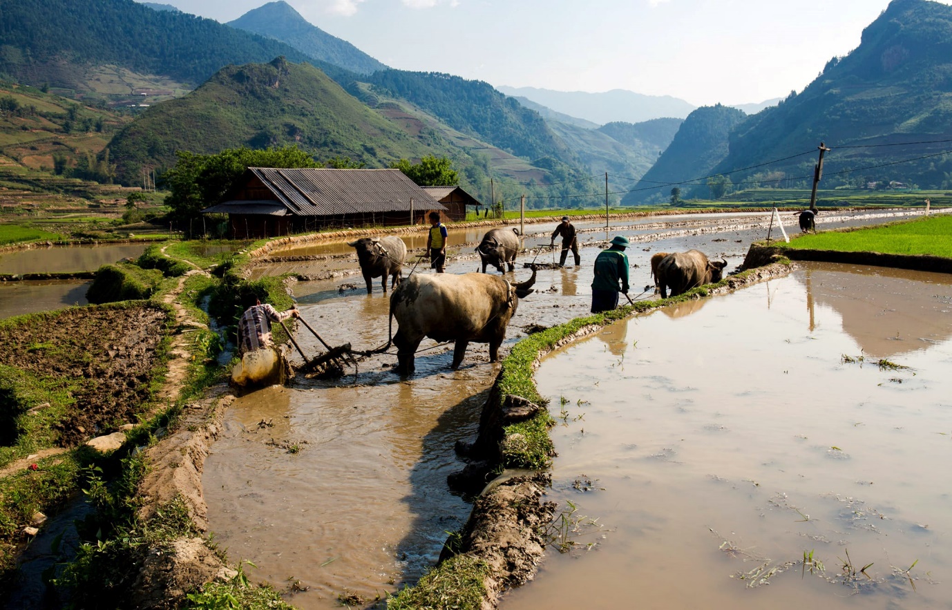 Mù Cang Chải mùa nào đẹp
