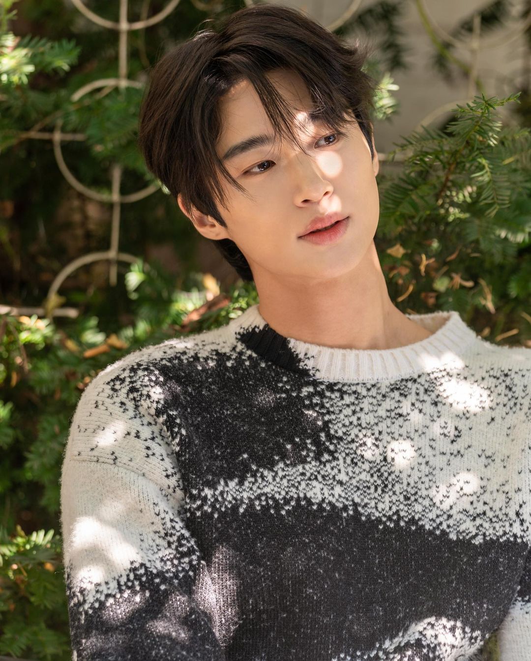 Top 7 phim mới tạo tiếng vang của Byeon Woo-Seok