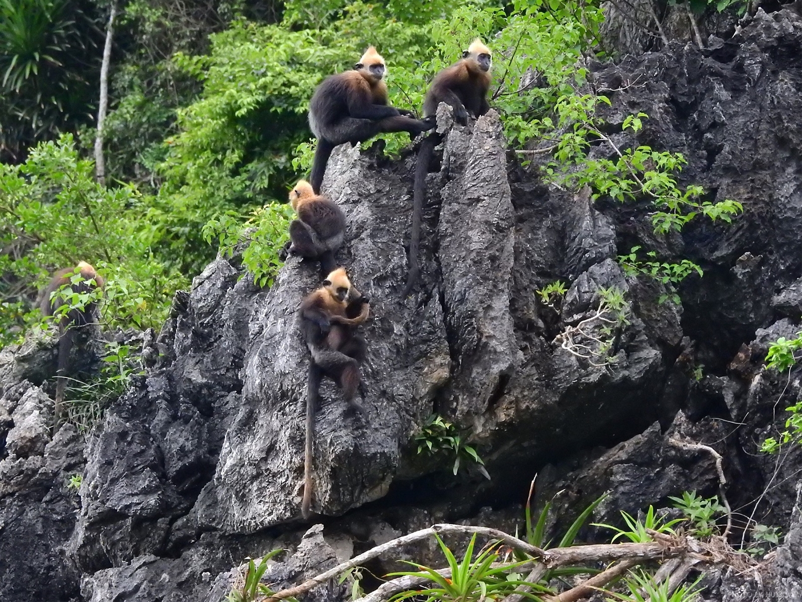 Du lịch Hải Phòng