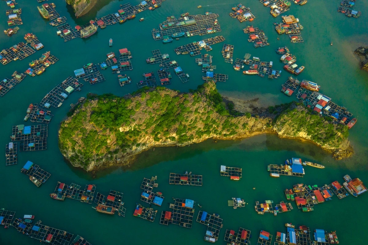 Du lịch Hải Phòng