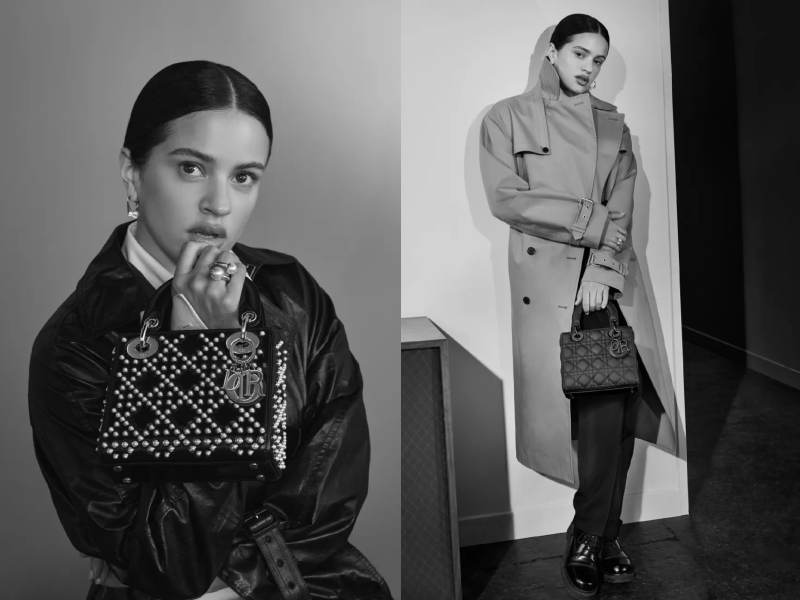 Đại sứ Dior