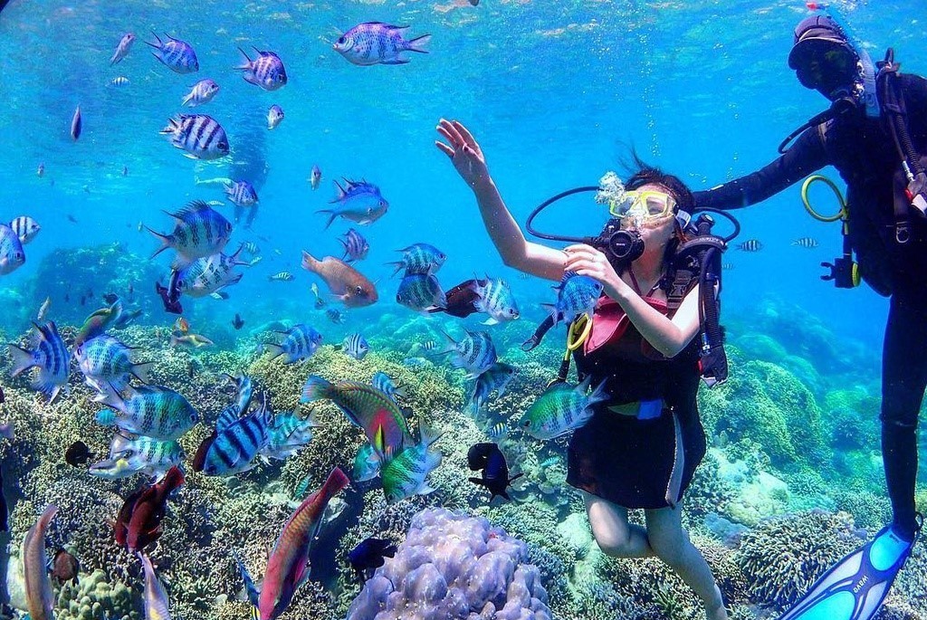 Hòn đảo độc đáo nhất Việt Nam: Nơi duy nhất sở hữu bãi tắm đôi nóng - lạnh, có trữ lượng lớn loại thực phẩm 'đệ nhất Bát Trân' của giới thượng lưu