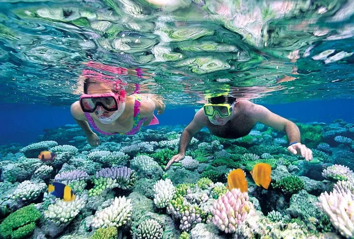 Hòn đảo độc đáo nhất Việt Nam: Nơi duy nhất sở hữu bãi tắm đôi nóng - lạnh, có trữ lượng lớn loại thực phẩm 'đệ nhất Bát Trân' của giới thượng lưu