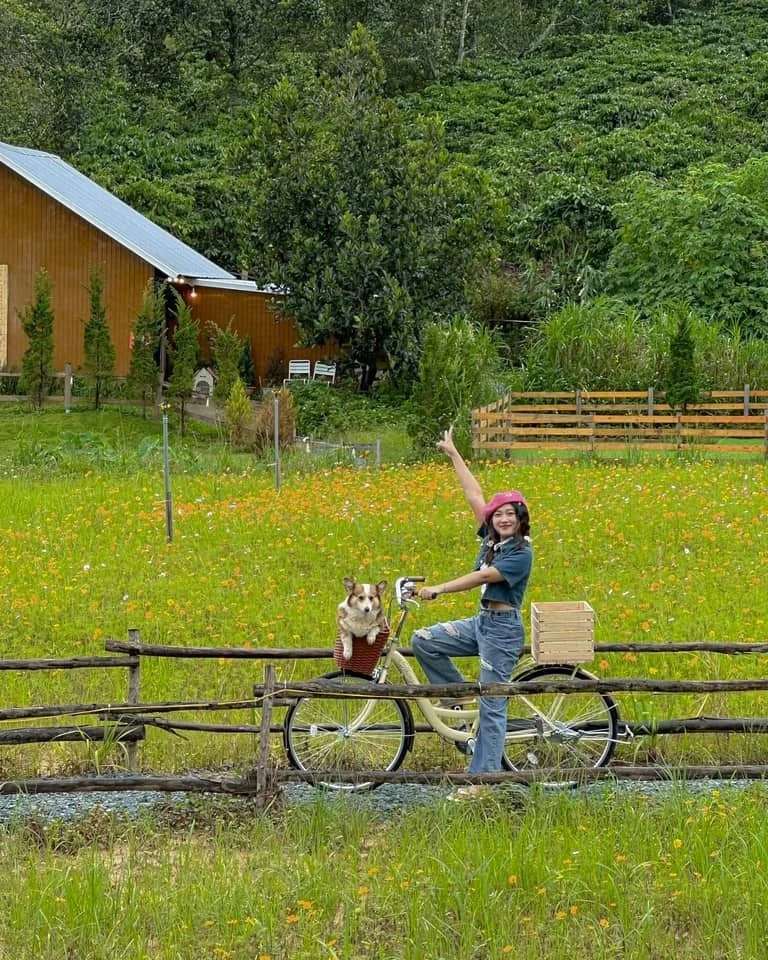 Du lịch Đà Lạt