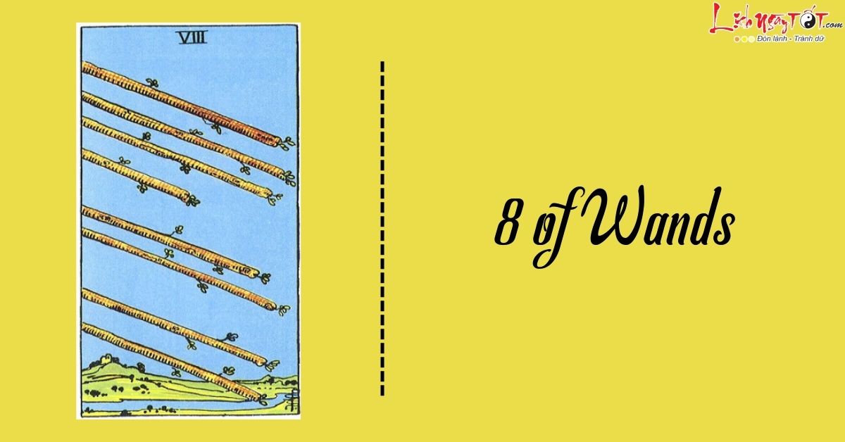 Bói bài Tarot tháng 6/2024