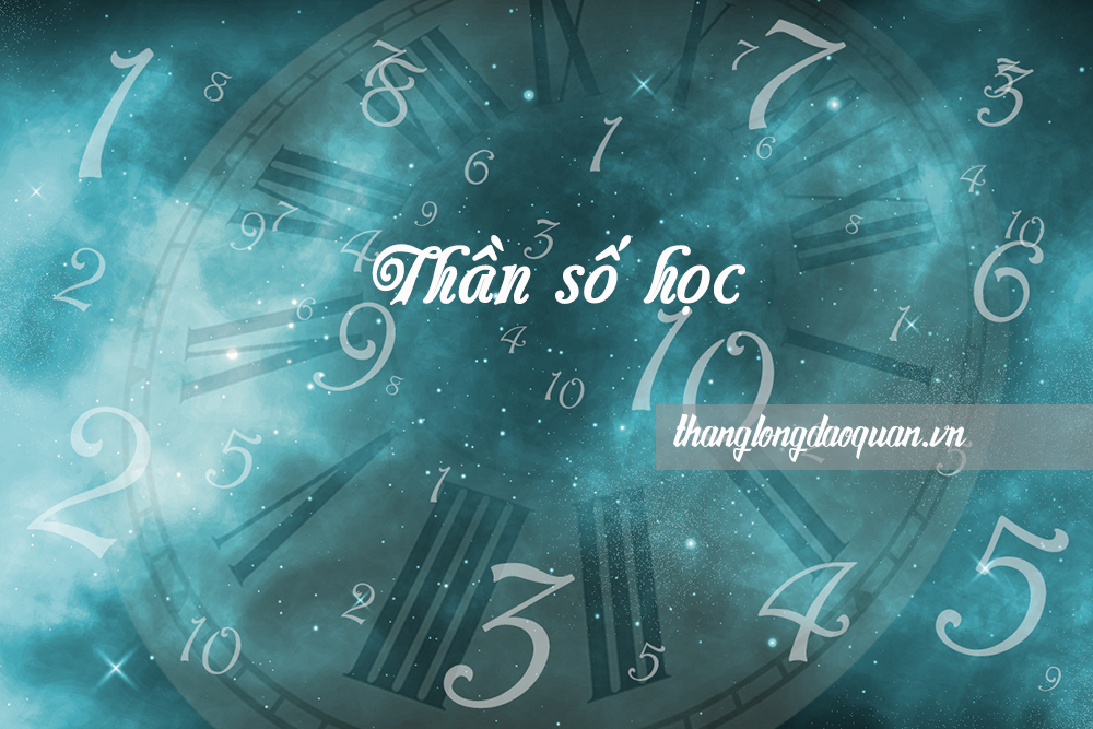 Số Chủ Đạo 1