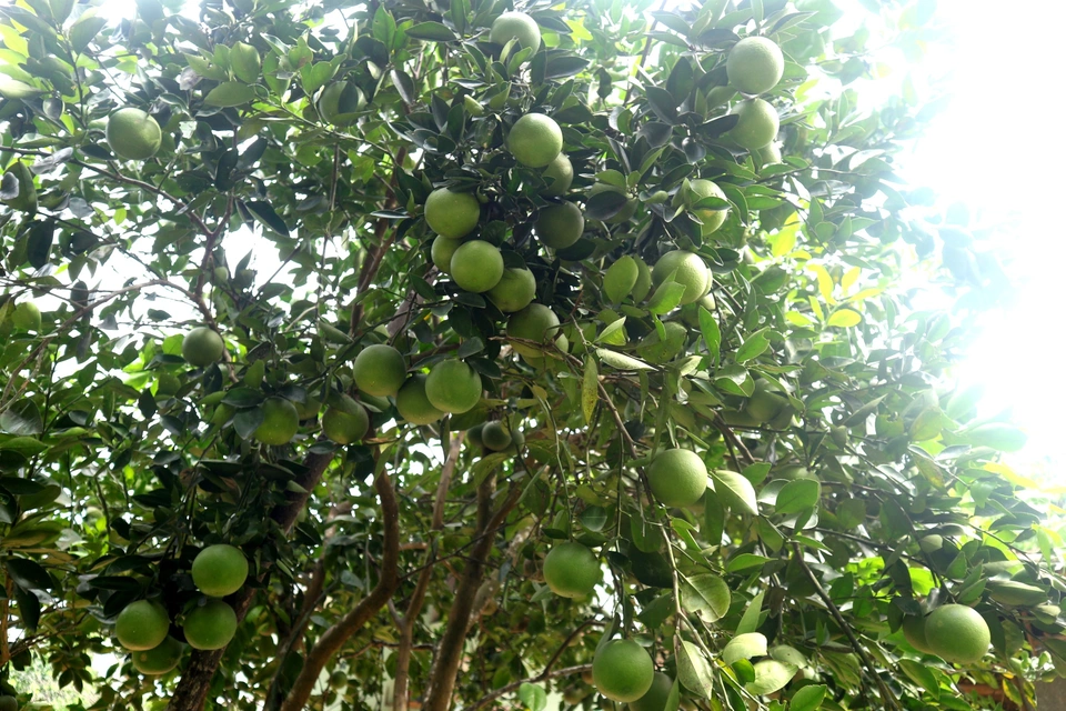 Du lịch Quảng Nam
