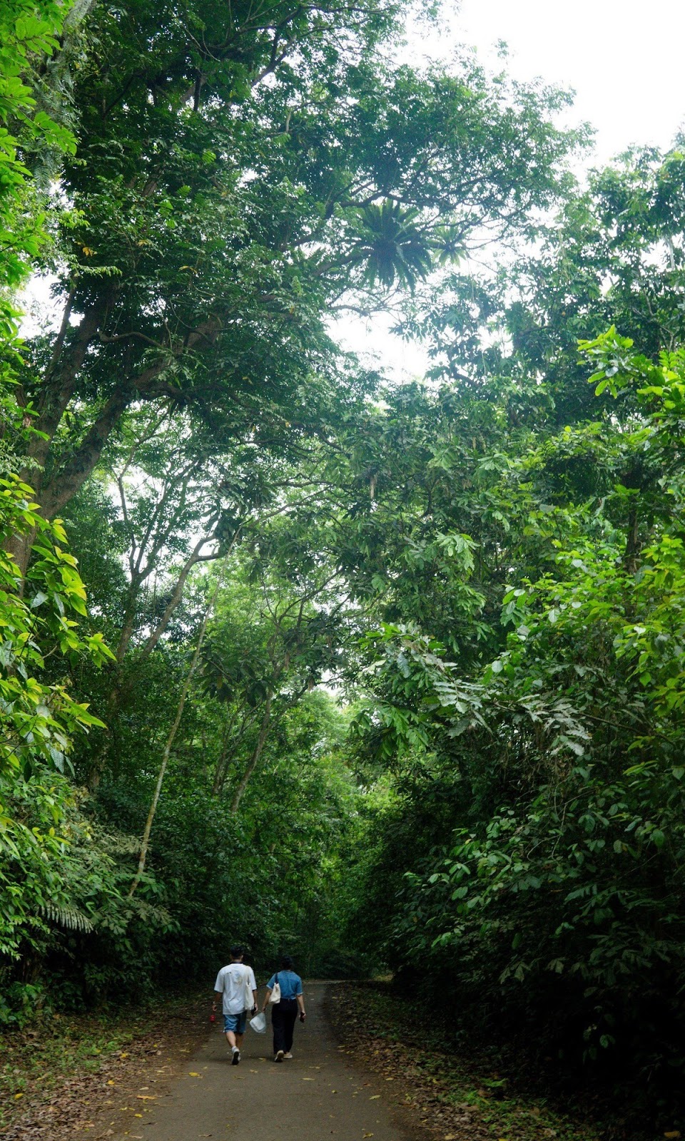 Vườn quốc gia Cúc Phương