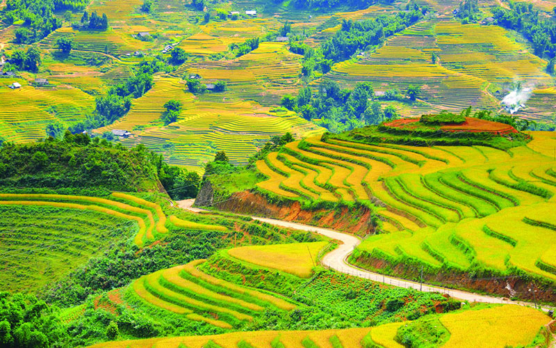 Du lịch Sapa