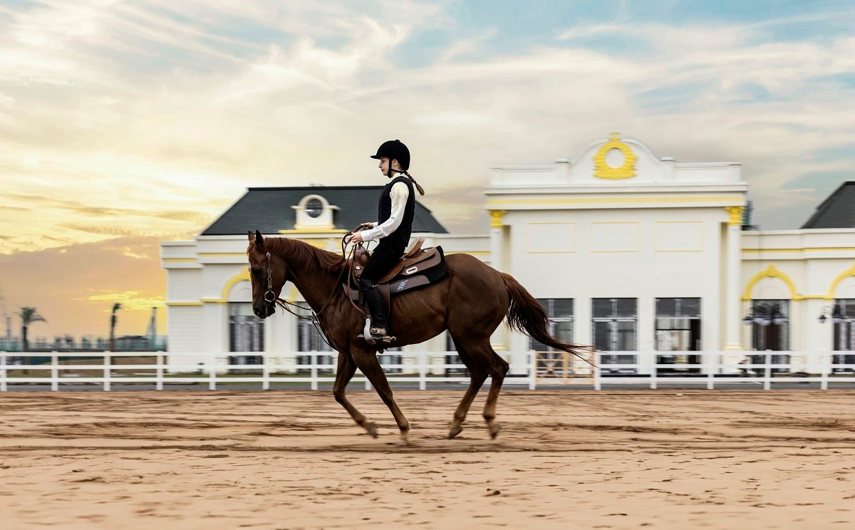Khai trương Học viện cưỡi ngựa Vinpearl Horse Academy Vũ Yên