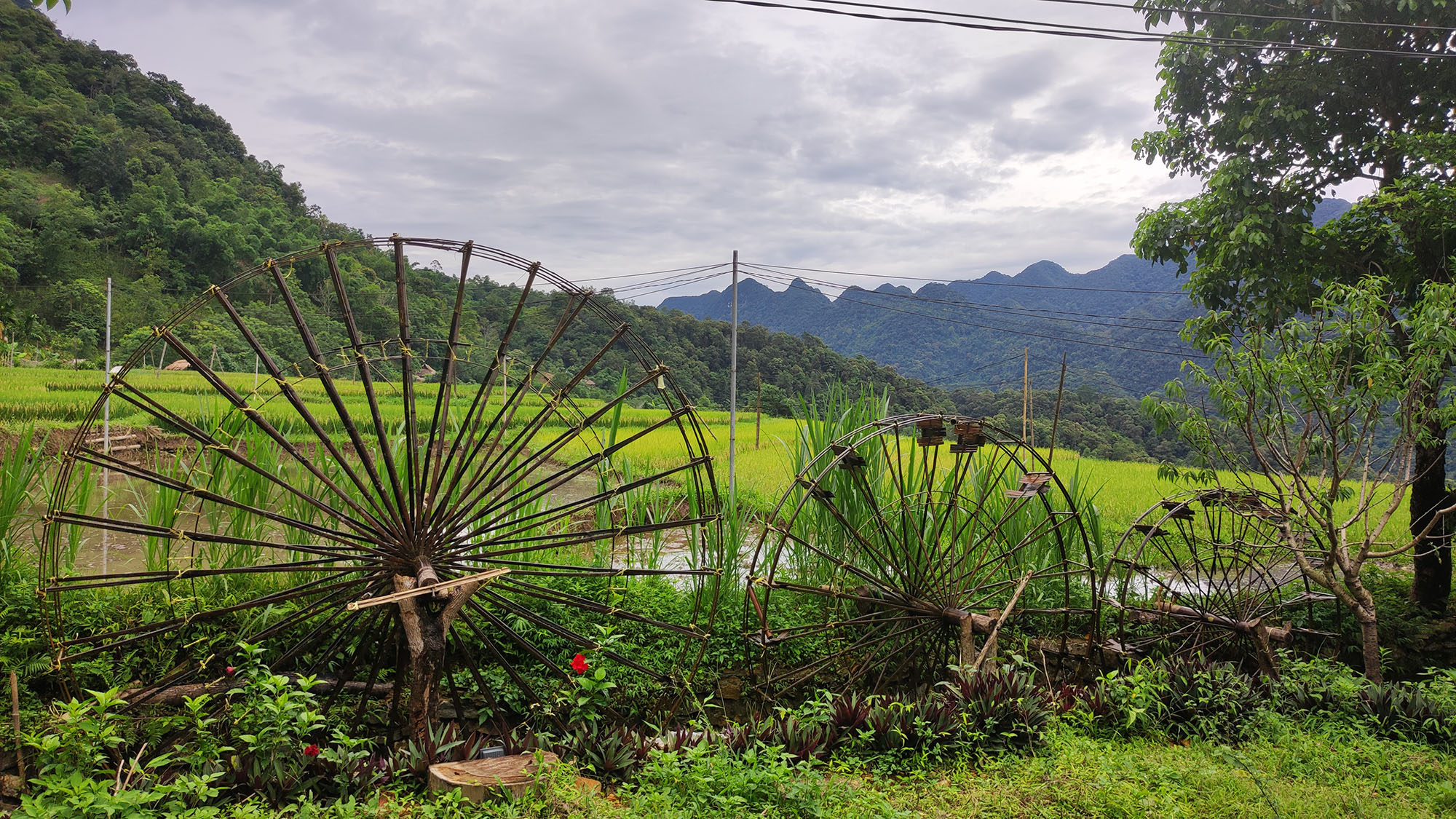 Du lịch Pù Luông