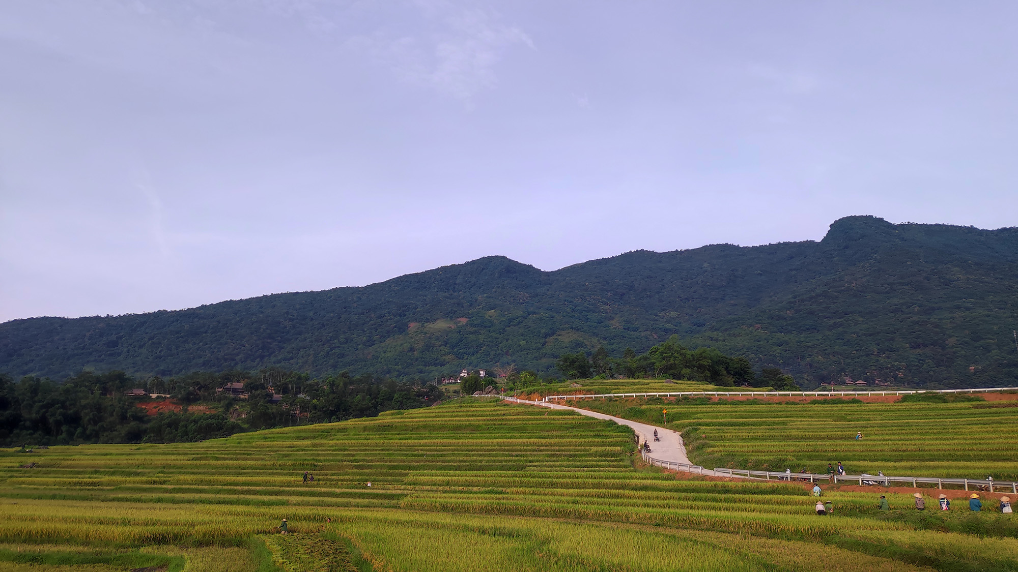 Du lịch Pù Luông