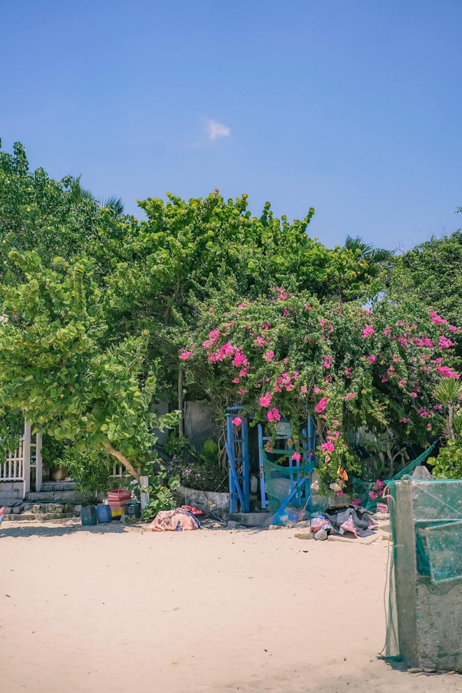 Du lịch Phú Yên