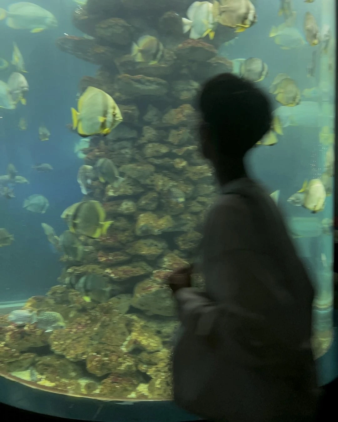 Du lịch Nha Trang